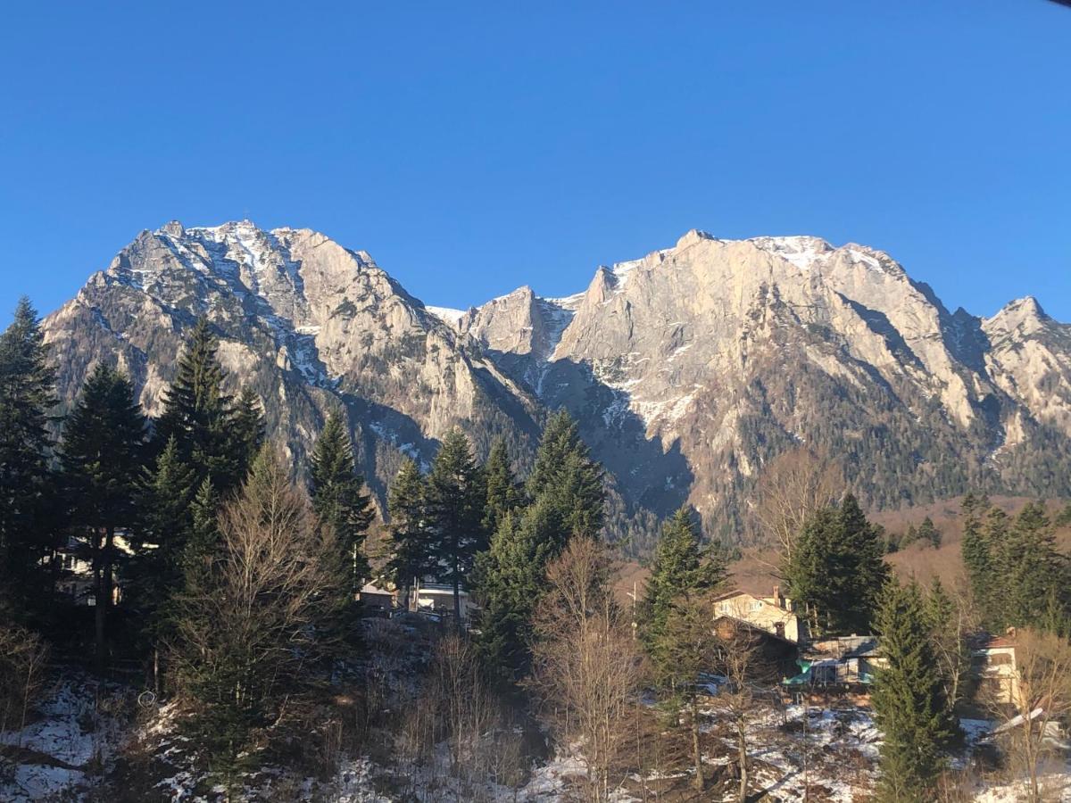 Apartament Extralarge Buşteni Buitenkant foto