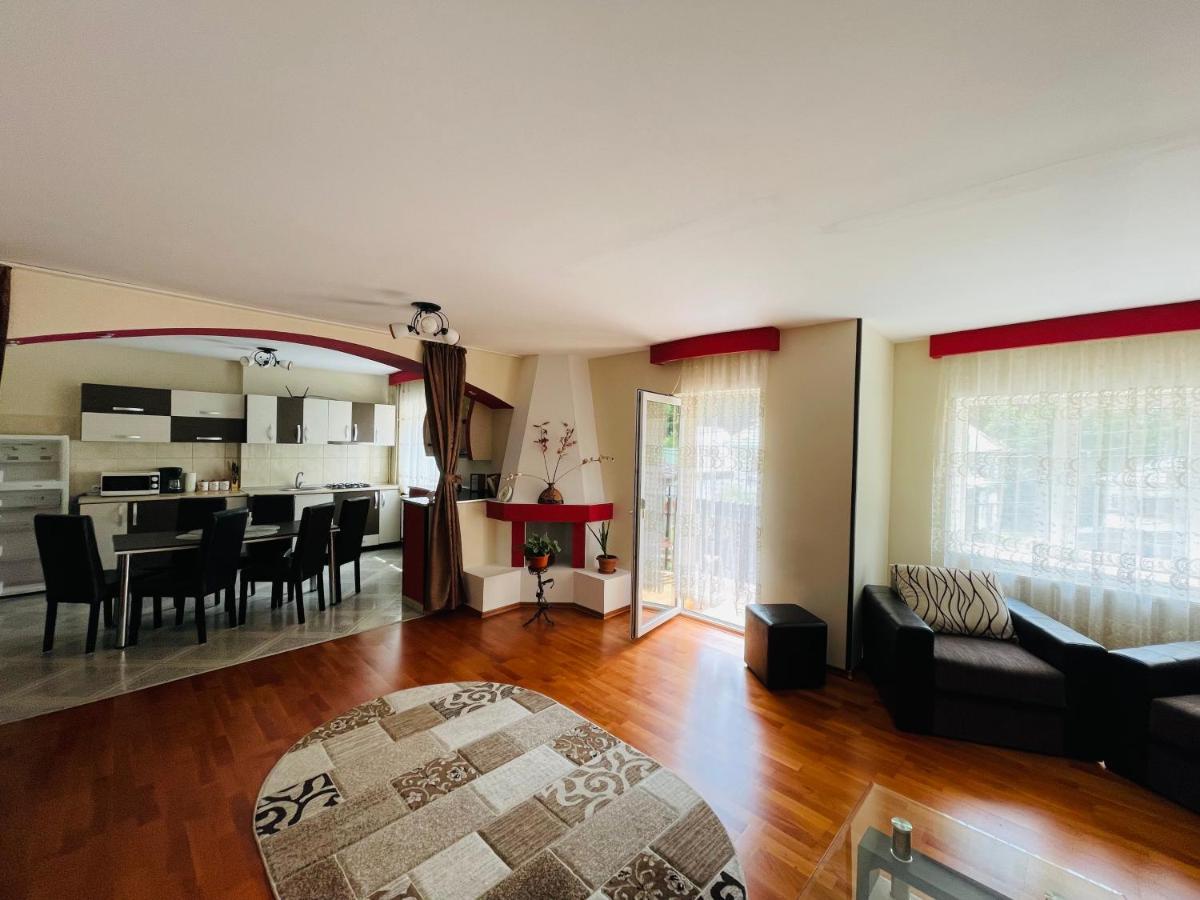Apartament Extralarge Buşteni Buitenkant foto